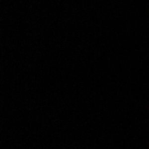 Meet your Posher, Rowan